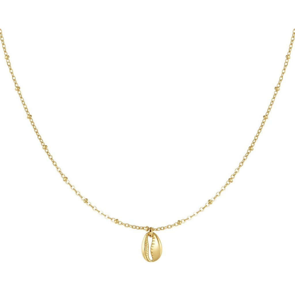 Ketten - Goldene Edelstahlkette mit Muschelanhänger - Gold - KE1012 - gold - Beau Soleil Jewelry